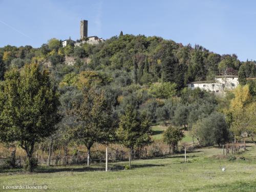 Antica torre a Montebonello