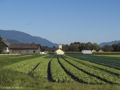 Campi coltivati alla perfezione - Spittal an der Drau