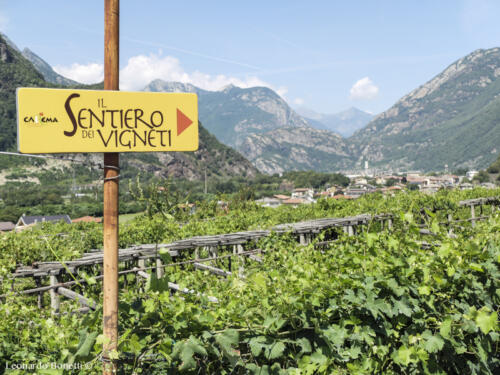Il Sentiero dei Vigneti - Valle d'Aosta
