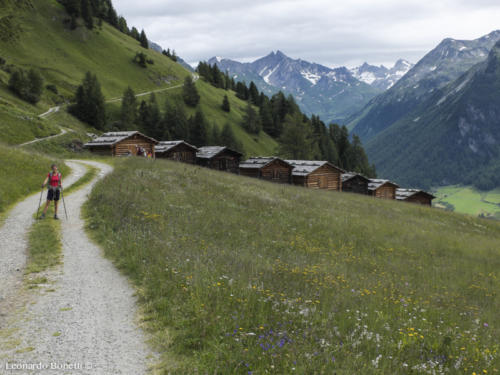 Le casette per la fienagione e le montagne del confine austriaco 2