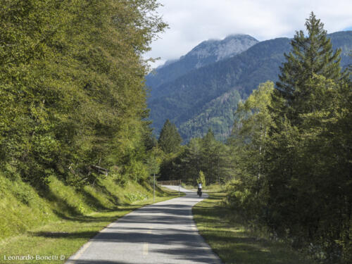 Nei preziosi boschi dell'Alpe Adria